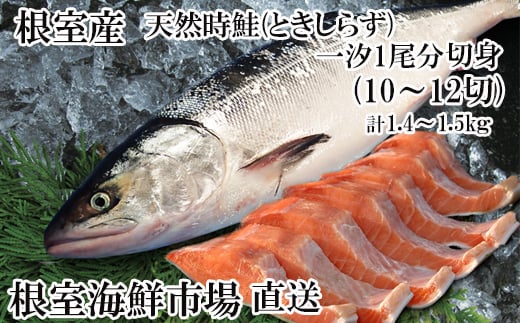 B-14121 【北海道根室産】無添加天然時鮭(トキシラズ)1尾分切身(10~12切) 2098243 - 北海道根室市