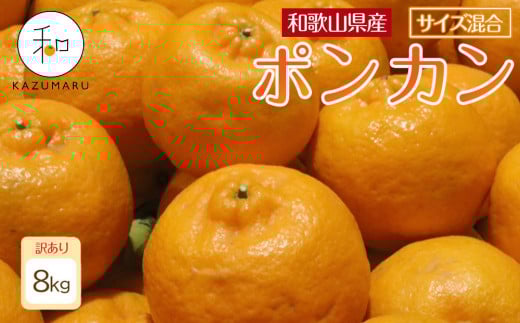 訳あり 森本農園の手選別 ポンカン 8kg 和歌山県産 サイズ混合 ［北海道・沖縄・離島配送不可］［RN15］［2026年1月上旬から順次発送］ 1455650 - 和歌山県印南町