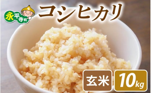 【先行予約】永平寺町飯島産　コシヒカリ  【玄米】10kg /ふるさと納税 米 福井県 永平寺町 の おいしい お米 発祥の地 こめ おこめ 玄米 精米 国産 限定 ごはん ご飯 白飯 ゴハン 玄米 ふるさと ランキング 人気 おすすめ 送料無料 産地直送 農家直送 福井県 永平寺 国産米 [C-074002] 