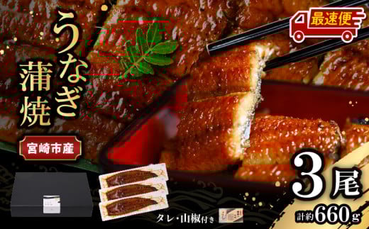 【最速便】【日時指定可能】宮崎県宮崎市産　うなぎの蒲焼　約660g（約220g×3尾）タレ・山椒セット_M325-011-2W