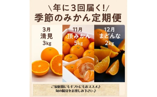 ＜発送月固定定期便＞美味しいみかん柑橘のある暮らし＜みかん・まどんな・きよみ＞＜G31-42＞全3回【4058603】 1538401 - 愛媛県八幡浜市