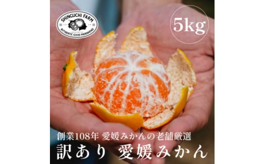 ＜創業108年＞愛媛みかんの老舗＜訳あり みかん5kg＞＜A70-37＞【1536340】 1455415 - 愛媛県八幡浜市