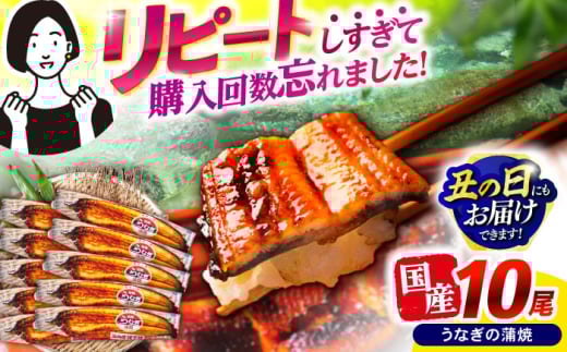 【最速発送】＜諫早淡水＞うなぎ蒲焼10尾 / うなぎ ウナギ 鰻 蒲焼き 蒲焼 かばやき 国産 冷凍 小分け うな重 うな丼 ひつまぶし / 諫早市 / 活うなぎ問屋 諫早淡水 [AHAT003]  最速 最短 スピード 発送 丑の日 土用丑の日 631874 - 長崎県諫早市
