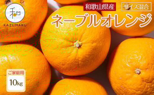 家庭用 森本農園の手選別ネーブルオレンジ 10kg 和歌山県産 サイズ混合 ［北海道・沖縄・離島配送不可］［RN35］［2026年1月上旬から順次発送］ 1455665 - 和歌山県印南町