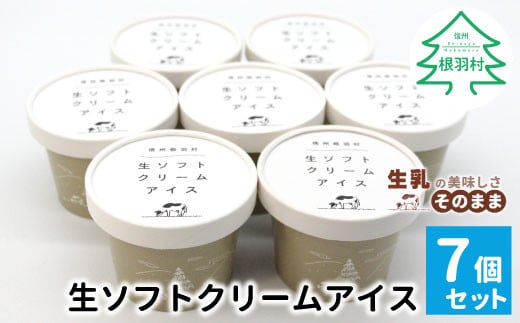 香料・着色料不使用★搾りたて生乳を使用した！『生ソフトクリームアイス』 7個セット アイスクリーム 5000円　アイス 生ソフト 生乳 牛乳 ミルク 定番 甘い スイーツ デザート 1453259 - 長野県根羽村