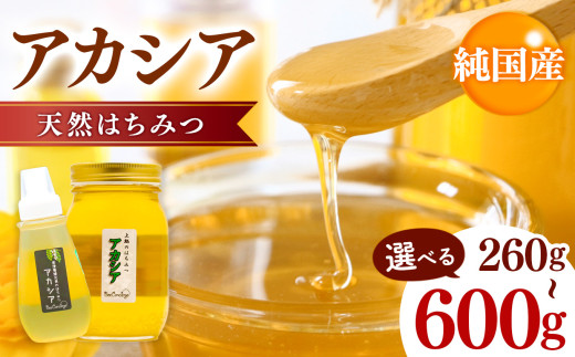 選べる容量 国産 アカシアはちみつ 260g〜600g | 養蜂家 齊藤兄弟 Bee concierge ビーコンシェルジュ はちみつ 蜂蜜 ハチミツ 国産蜂蜜 アカシア蜂蜜 新鮮 国産 千葉県 君津市 君津 きみつ