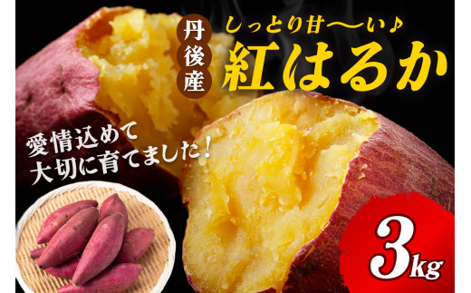 【先行予約】丹後産　さつまいも　紅はるか3kg　2026年3月下旬～配送　AM00666_04