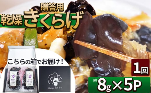 贈答用乾燥きくらげ 8g×5P ともちゃん農園 | 贈答用 乾燥 きくらげ 食物繊維 鉄分 カルシウム ビタミンD カリウム アミノ酸  高血圧予防 ふるさと 納税栃木県 那珂川町 2101278 - 栃木県那珂川町