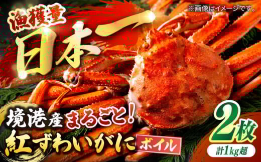 境港の漁師が厳選！山陰産紅ずわいがに姿×2枚 ボイル 冷蔵 人気 カニ おすすめ 島根県松江市/株式会社漁師村 [ALDN004]