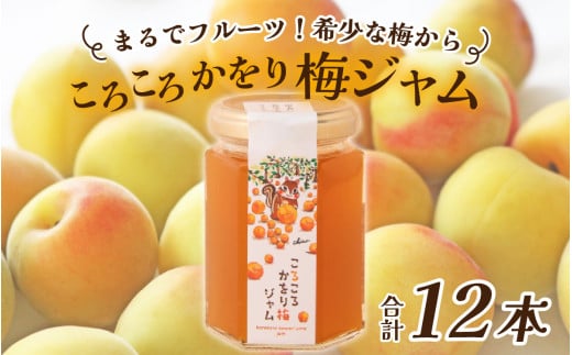 まるでフルーツ！希少な梅から「ころころかをり梅ジャム」12本 [D-178004] / 梅 うめ 加工品 調味料 ジャム 季節ジャム パン ジャムティー ヨーグルト 料理 手造り 詰合せ お取り寄せ 送料無料
