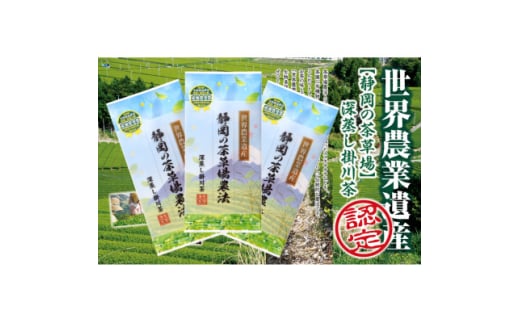 世界農業遺産 茶草場農法 深蒸し掛川茶 100g×3袋 静岡県掛川産 煎茶 一番茶【1619202】 2101158 - 静岡県掛川市