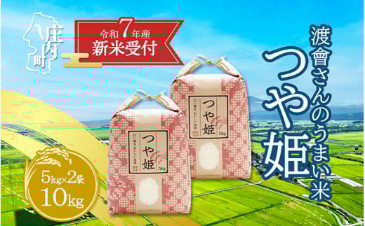 【新米受付 10月発送】R7年産 渡會さんのうまい米！つや姫10kg（入金期限：2025.9.15）