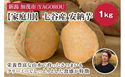 【2025年先行予約】【家庭用】安納芋 1kg（A品・B品混在） 新潟県加茂市七谷産 さつまいも《11月下旬〜順次発送》 サツマイモ お芋 焼き芋 スイートポテト 野菜 根菜 低温熟成 加茂市 YAGOROU ヤゴロウ