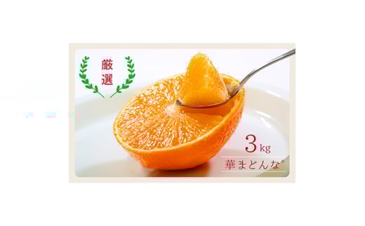 コウ果樹園の「 厳選 華まどんな 」 3kg ＜D33-8＞_ みかん 蜜柑 ミカン 柑橘類 柑橘 フルーツ くだもの 果物 人気 美味しい 愛媛県 八幡浜市 ふるさと 【1056129】
