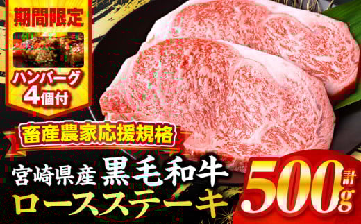 【父の日（6月15日）までにお届け予定】【期間・数量限定】畜産農家応援！宮崎県産黒毛和牛ロースステーキ250g×2・国産牛ハンバーグ100g×4個_M132-091-B1-FD