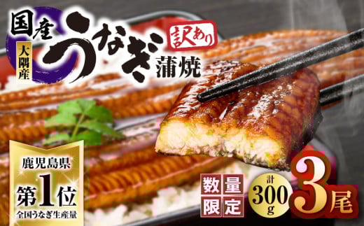 【訳あり】【数量限定】鹿児島県大隅産うなぎ蒲焼き3尾セット（計300g）　KN007-003-01 2102030 - 鹿児島県鹿屋市