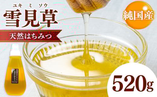 国産 雪見草はちみつ 520g | 養蜂家 齊藤兄弟 Bee concierge 雪見草 ゆきみそう ユキミソウ 雪 ビーコンシェルジュ はちみつ 蜂蜜 ハチミツ 国産蜂蜜 雪見草蜂蜜 新鮮 国産 千葉県 君津市 君津 きみつ 2102060 - 千葉県君津市