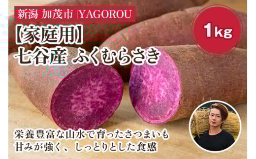 【2025年先行予約】【家庭用】ふくむらさき 1kg（A品・B品混在） 新潟県加茂市七谷産 さつまいも《11月下旬〜順次発送》 サツマイモ お芋 焼き芋 スイートポテト 野菜 根菜 低温熟成 加茂市 YAGOROU ヤゴロウ