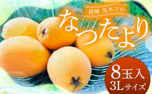 長崎 茂木びわ 『なつたより』 3L 計8玉 【2025年5月上旬～6月下旬迄発送予定】  びわ 枇杷 ビワ 長崎びわ
