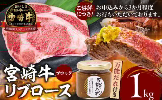 宮崎牛 リブロースブロック1kg 万能だれ付き | 牛肉 肉 お肉 リブロース 精肉 リブロースブロック ブロック肉 ブロック タレ 万能ダレ 国産 黒毛和牛 和牛 宮崎県産 ギフト 贈り物 プレゼント 贈答 グルメ お取り寄せ 焼き肉 BBQ 高千穂町 |_Tk024-007 597437 - 宮崎県高千穂町