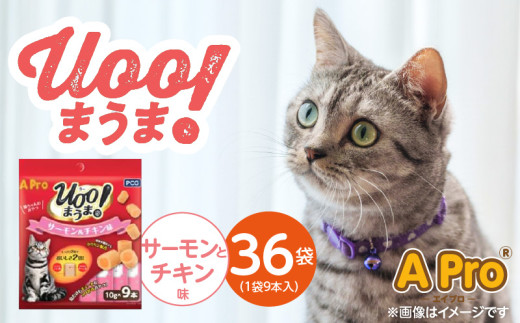 A Pro 猫用おやつ Uoo!まうま（サーモン＆チキン味）9本×36袋_A Pro 猫用 おやつ Uoo!まうま 9本 × 36袋 計 324本 サーモンとチキン キュート コロコロ形状 しっとり 2層 健康維持 サポート お手軽 多頭飼い キャットフード 福岡県 久留米市_Pf043-03 2106887 - 福岡県久留米市