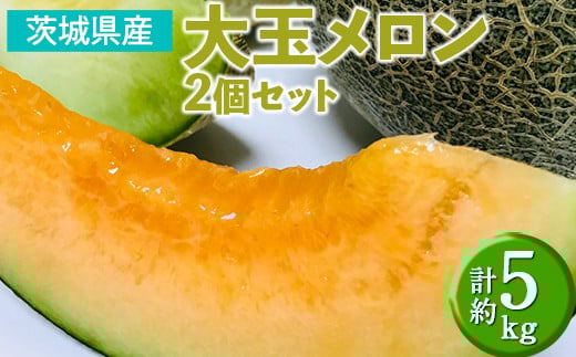 お任せ！茨城県産　大玉メロン2個セット(計約5kg) | 期間限定 個数限定 メロン めろん 甘い ジューシー 果物 フルーツ　※2025年6月下旬～7月下旬頃に順次発送予定　※離島への配送不可
