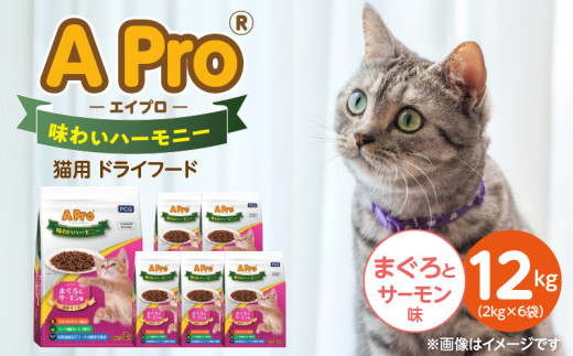 A Pro 味わいハーモニー 猫用 ドライフード（まぐろとサーモン味）2kg×6袋_A Pro 味わいハーモニー 猫用 ドライフード 2kg × 6袋 計 12kg まぐろとサーモン 成猫用 総合栄養食 愛猫 健康維持 サポート 小さめ 薄型 食べやすい 猫 キャットフード 福岡県 久留米市_Pf044-02 2106894 - 福岡県久留米市