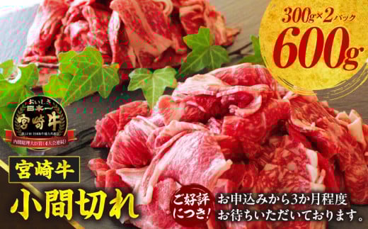宮崎牛 こま切れ600g_Tk024-018 864527 - 宮崎県高千穂町