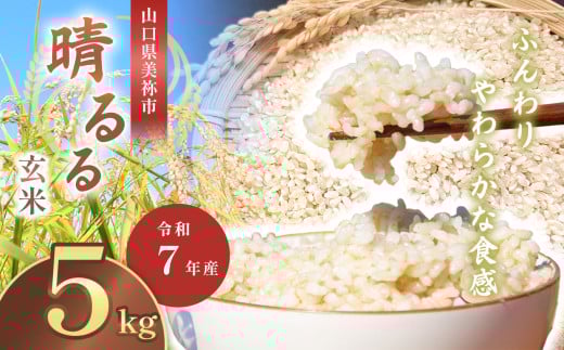 令和7年度産 新米 晴るる 玄米 5kg 先行予約 [ 2025年10月〜より順次発送予定 ] | 米 精米 新米 玄米 米 雑穀 お米 コメ 単一米 晴るる はるる 山口 美祢 秋吉台 5kg