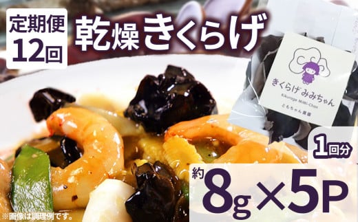 【定期便12回】乾燥きくらげ 8g×5P ともちゃん農園|定期便 乾燥きくらげ きくらげ 贈答用 乾燥 きくらげ 食物繊維 鉄分 カルシウム ビタミンD カリウム アミノ酸  高血圧予防 ふるさと 納税 栃木県 那珂川町 送料無料 2101267 - 栃木県那珂川町