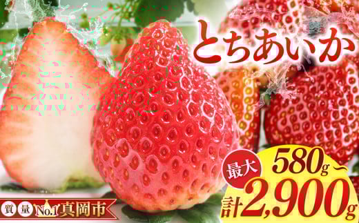 鮮度抜群 とちあいか 選べる内容量 580〜2900g | 選べる 容量 1箱 2箱 3箱 4箱 5箱 日本一 産地 大粒 冬 味覚 いちご 苺 イチゴ ストロベリー 大きい ハート 美味しい 果汁 ジューシー 甘い あまい 甘味 たっぷり 大容量 | 人気 レビュー 栃木県 真岡市 送料無料