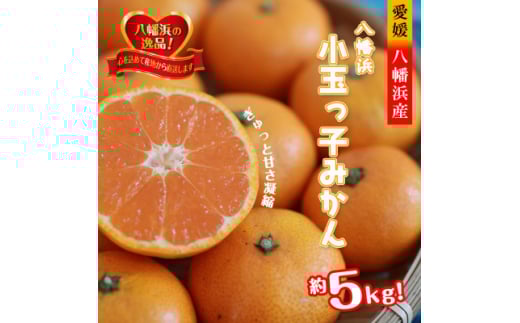 2025年11月発送開始　小粒・濃厚な味わい!!「八幡浜小玉っ子みかん」約5kg＜C39-59＞【1512462】 1354443 - 愛媛県八幡浜市