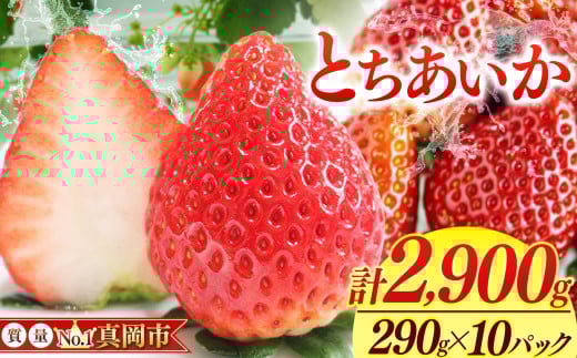鮮度抜群 とちあいか 5箱 (290g×10) 2900g  |  選べる 容量 5箱 日本一 産地 大粒 冬 味覚 いちご 苺 イチゴ ストロベリー 大きい  ハート 美味しい 果汁 ジューシー 甘い あまい 甘味 たっぷり 大容量 | 人気 レビュー 栃木県 真岡市 送料無料