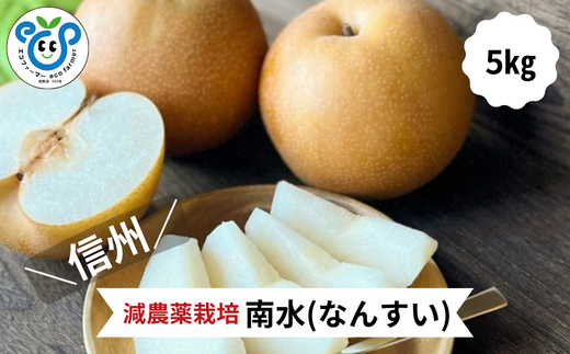 HF05-25A【信州松川町産】 南水梨 約5kg ／10月上旬発送開始予定 // 長野県 南信州  減農薬栽培 和梨 なし ナシ 南水 エコファーマー認証 農家支援 HF