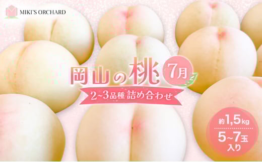 桃 【訳あり 2級品】 2025年 先行予約 岡山の桃 7月の桃 2～3品種 詰め合わせ セット 5～7玉入り 約1.5kg  MIKI’S ORCHARD  もも モモ 果物 岡山 家庭用
