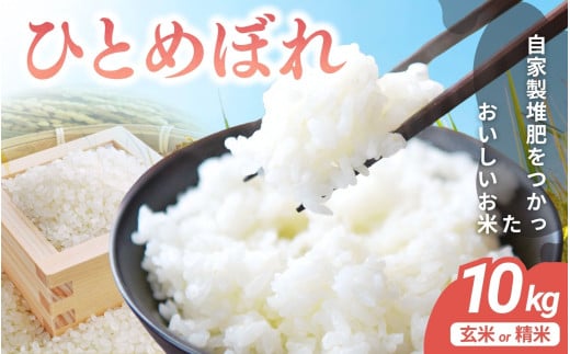 宮城県涌谷町産 ひとめぼれ 10kg　玄米 ※2025年10月中旬より順次発送予定