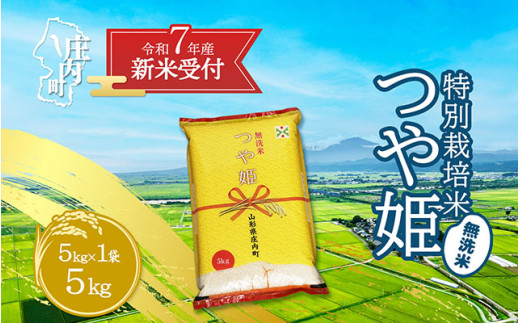 【新米受付 10月発送】R7年産 つや姫無洗米 5kg（入金期限：2025.9.15）