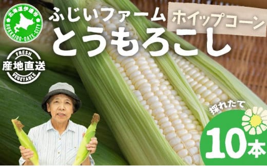 [5525-0483] 北海道産 とうもろこし ホワイト ホイップコーン 10本 Lサイズ トウモロコシ とうきび コーン スイートコーン 先行受付 新鮮 朝採り 産地直送 国産 野菜 農作物 甘い 白い 人気 BBQ ふじいファーム  送料無料