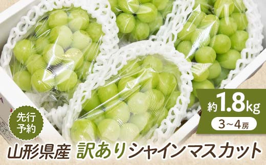 山形県産 訳あり シャインマスカット 1.8kg 約3～4房前後  マスカット ぶどう ブドウ 葡萄 デザート フルーツ 果物 くだもの 果実 食品 山形県 FSY-0580 870837 - 山形県山形県庁