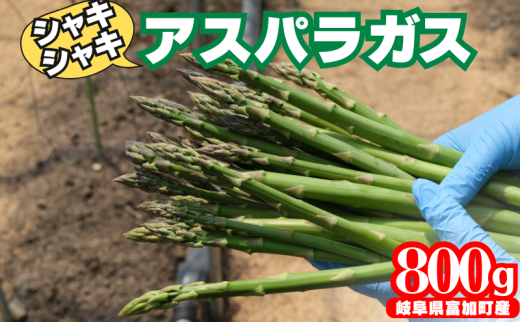 【12052】アスパラガス 800g