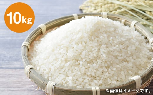 「訳あり」湯前町のお米 10kg 米 お米 ご飯 ごはん 白米 精米 5kg×2袋 訳あり 訳アリ 熊本県 湯前町