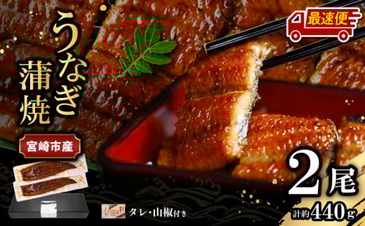 【最速便】【日時指定可能】宮崎県宮崎市産　うなぎの蒲焼　約440g（約220g×2尾）タレ・山椒セット_M325-010-2W