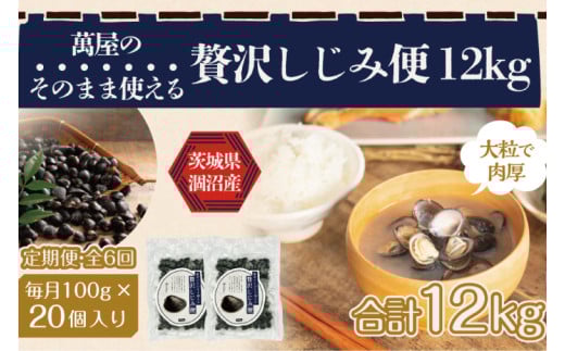 【6ヶ月定期便】涸沼産冷凍しじみ中粒２kg（100g×20p）【シジミ 中粒しじみ 産地直送 砂抜き済み 砂抜き 小分け包装 味噌汁 みそ汁 茨城県】（CA-13）