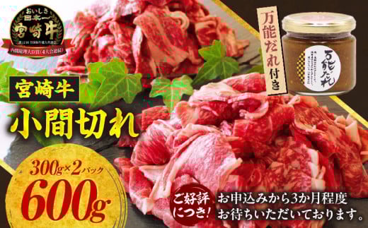 宮崎牛 小間切れ600g 万能だれ付き | 牛肉 お肉 肉 宮崎牛小間切れ 小間切れ肉 こま肉 牛こま 精肉 たれ セット 牛丼 肉じゃが 炒め物 お弁当 普段使い 使い勝手 冷凍 和牛 国産牛 ブランド牛 宮崎県産 全国和牛能力共進会 お取り寄せ 高千穂町 |_Tk024-011 597434 - 宮崎県高千穂町