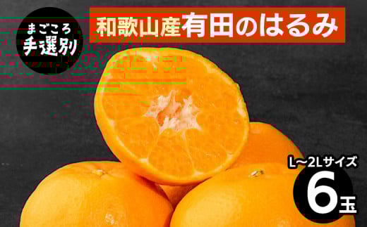【まごころ手選別】和歌山産　有田のはるみ(L～2Lサイズ) 6玉 1箱 ※2026年1月中旬～2月下旬頃に順次発送予定