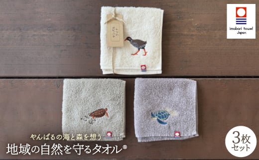 地域の自然を守るタオル やんばるの海と森を想う 3枚セット【1606929】