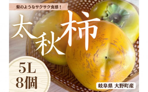 【先行予約】梨のような食感！ Farm m&aの太秋柿 5L×8個 秀品 岐阜県 大野町（2025年10月中旬～発送）農家直送 果物 フルーツ 秋の味覚 柿 かき 太秋 たいしゅう