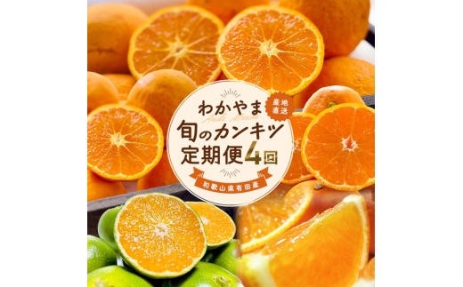 【定期便】〈3・4・9・11月 全4回〉わかやま旬のカンキツ定期便【L】全４回（青切りみかん・完熟みかん・春の柑橘・初夏の柑橘）※北海道・沖縄・離島への配送不可