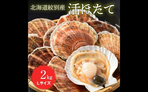 11-145 北海道紋別産 活ホタテ2kg(Lサイズ)