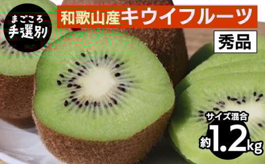【まごころ手選別】和歌山産　キウイフルーツ　約1.2kg(サイズ混合)　秀品 ※2026年1月下旬～3月中旬頃に順次発送予定